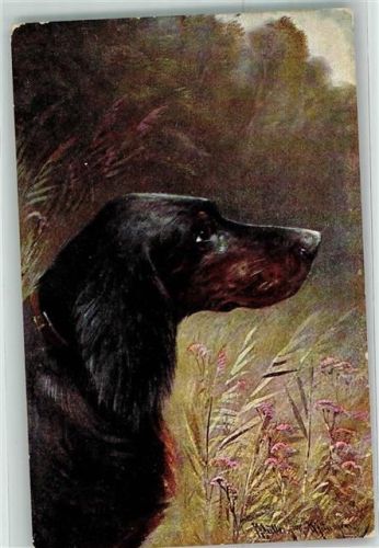 1913 Jagdhund