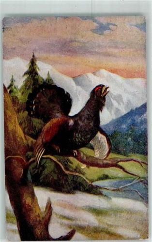 Auerhahn