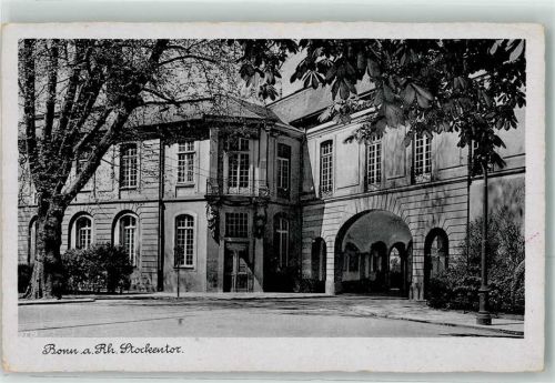 Bonn Stockentor