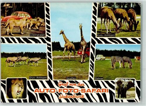 Stukenbrock Senne Safariepark Löwen Antilopen Zebras Giraffen Elefant