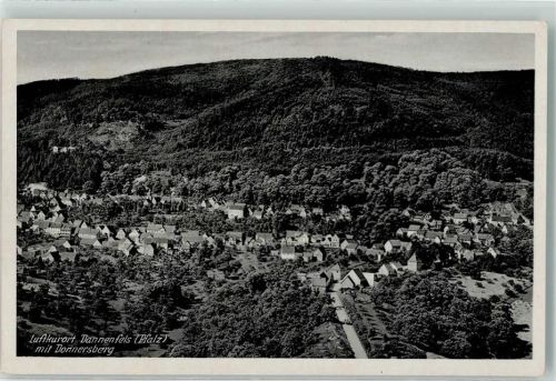 Dannenfels Fliegeraufnahme des Ortes mit Donnersberg