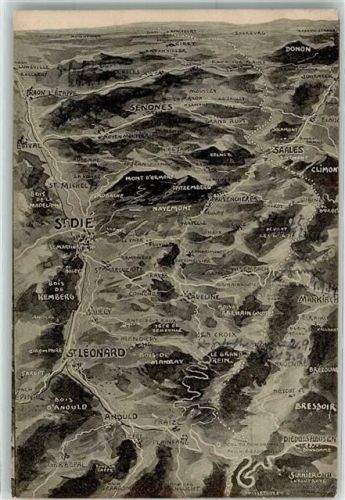 Saint-Die-des-Vosges 1914 Vogelschau