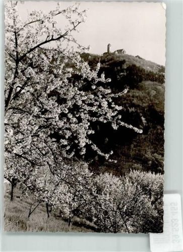 Weinheim Burg Wachenburg