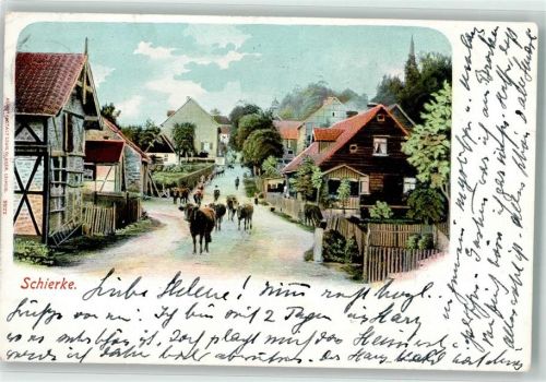 Schierke 1899 Viehtrieb durch Dorfstraße
