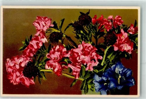 Enzian Photochromie Nenke und Ostermaier Serie 701 Nr.2041