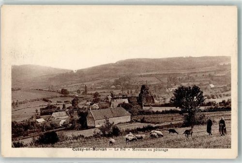 Cussy-en-Morvan le Pre Ziege Schaf