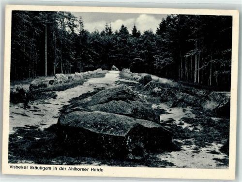 Wildeshausen Visbeker Bräutigam in der Ahlhorner Heide