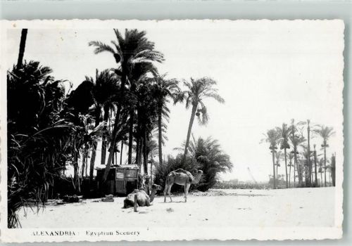 Alexandria