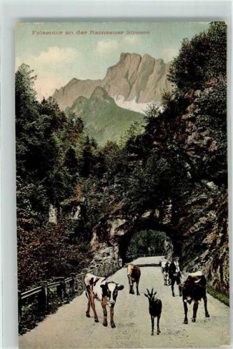 Ramsau 1906 Felsentor an der Ramsauer Straße Kühe