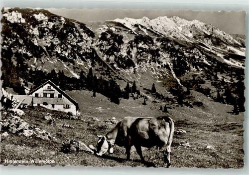 Hinterstein Willersalpe Kuh Gaishorn Hüttenstempel