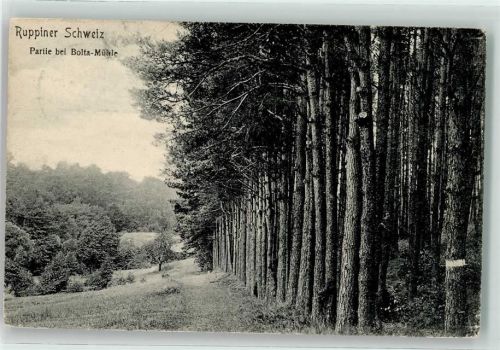 Neuruppin 1908 Ruppiner Schweiz bei Bolta Mühle