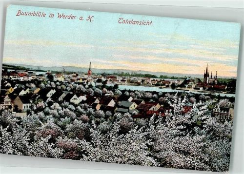 Werder Baumblüte