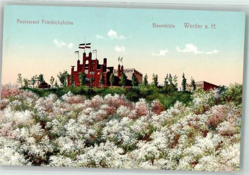 Werder Gasthaus Friedrichshöhe Baumblüte