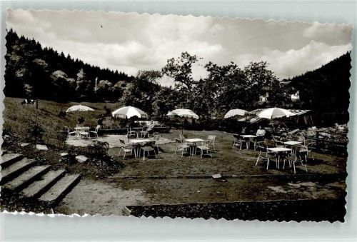Fohlenplacken Hotel Alte Mühle Kuh