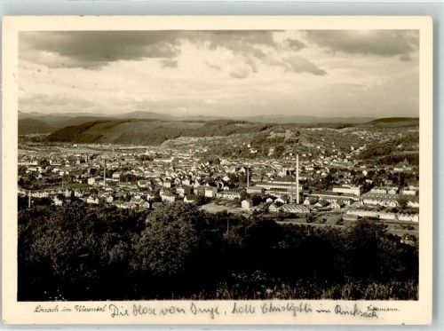 Lörrach Vogelschau