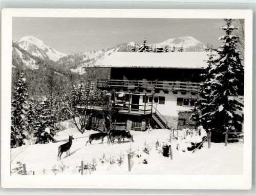 Rottach-Egern Berg-Cafe Dix im Schnee Rehwild Hüttenstempel