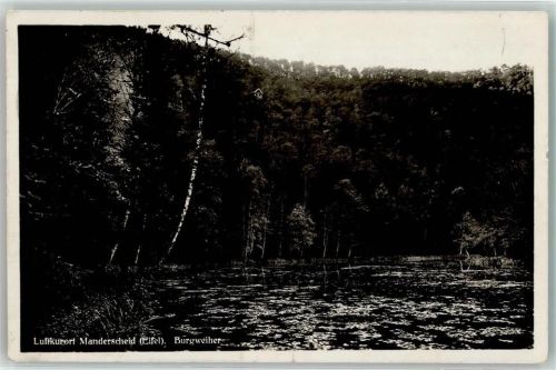 Manderscheid 1932 Burgweiher