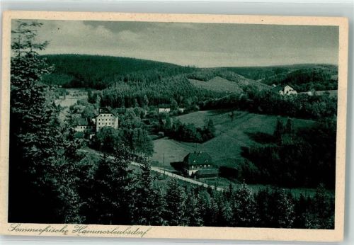Hammerleubsdorf Sommerfrische Gasthaus Richard Baumann