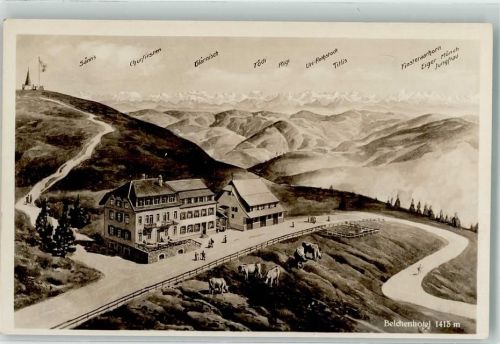 Belchen Hotel Belchen Kühe Säntis Churfirsten Tödi Rigi Uri-Rothstock Eiger Mönch Jungfrau Posthilfsstelle