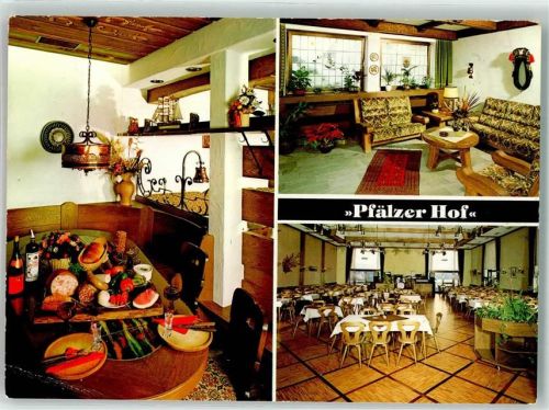 67354 W6725 Römerberg , Pfalz KEINE AK Gasthaus Pension Pfälzer Hof Schwegenheimer Straße 11 Werbekarte