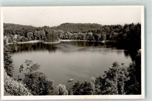 Bad Säckingen 1954 Bergsee