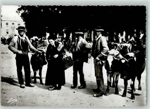 Viehmarkt in der Bretagne Tracht Kühe