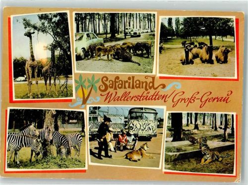 Wallerstädten Safariland Wallerstädten/Groß-Gerau Giraffen Löwen Kamele Zebras Tiger