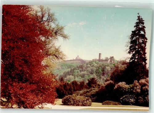 Weinheim Burgruine Windeck und Wachenburg