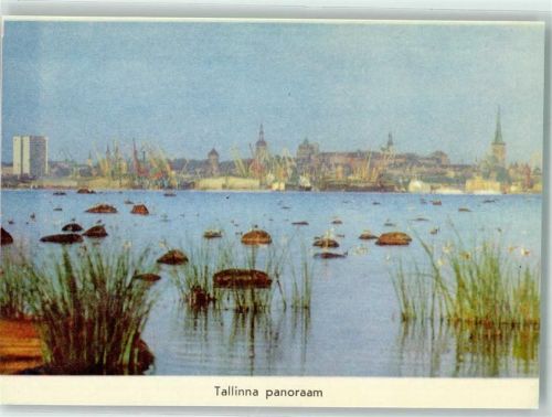 Tallinn Tallinna panoraam Panorama Kirche Turm Hochhaus Schilf