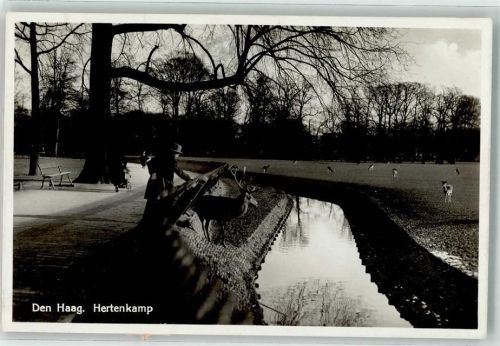 Den Haag Hertenkamp Hirsch