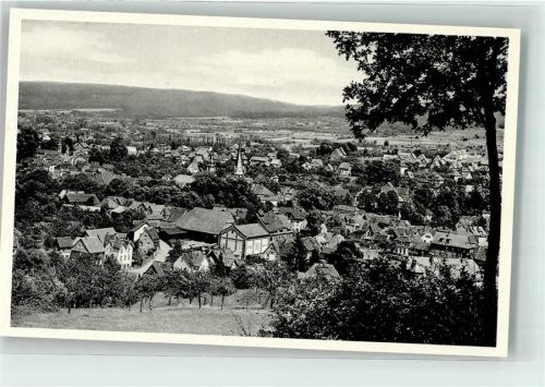Erbach Vogelschau