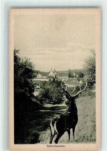 Bebenhausen Hirsch