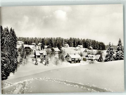Kniebis Winter