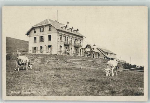 Belchen Hotel Belchen Kühe