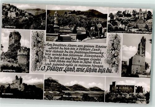 Trifels Wachtenburg Bewartstein Maxburg Haardter Schloss Limburg Wein