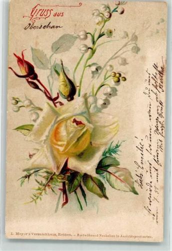 Reiden 1903 Maiglöckchen Werbung L. Meyers Versandthaus