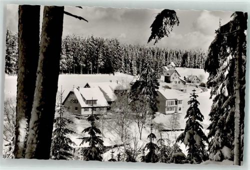 Kniebis Winter