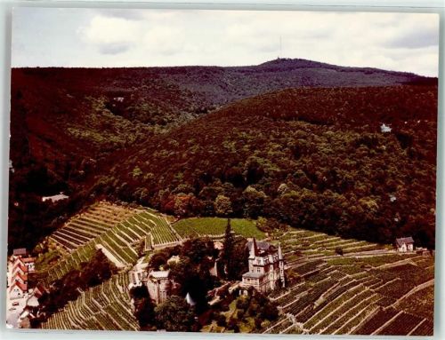 Haardt Foto Original aus Archiv eines Ansichtskartenverlags Fliegeraufnahme Ort handschriftlich