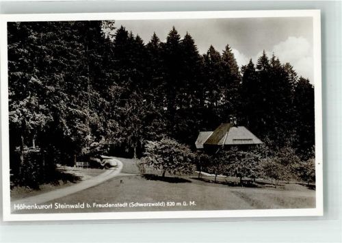 Mittelsteinwald Pension Villa Heinzelmann