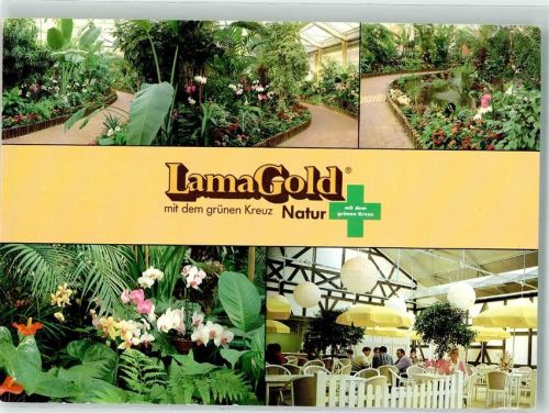 Schwarzach Lama Gold