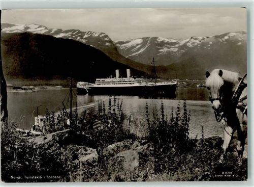 Dampfschiff Fjord