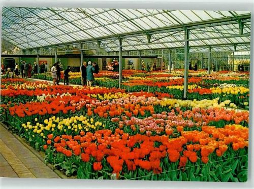Lisse Keukenhof