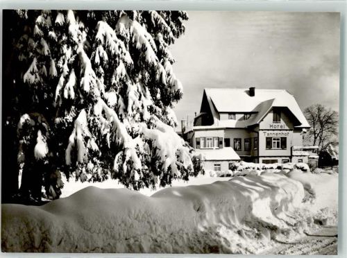 Zwieselberg Winter Hotel Tannenhof