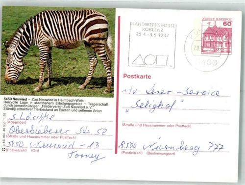 Neuwied Zoo Heimbach-Weis Zebra Ganzsache