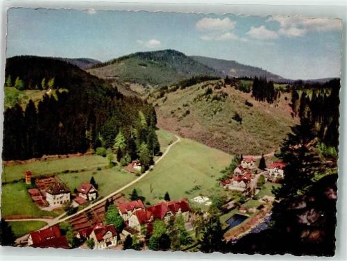 Schönmünzach Vogelschau