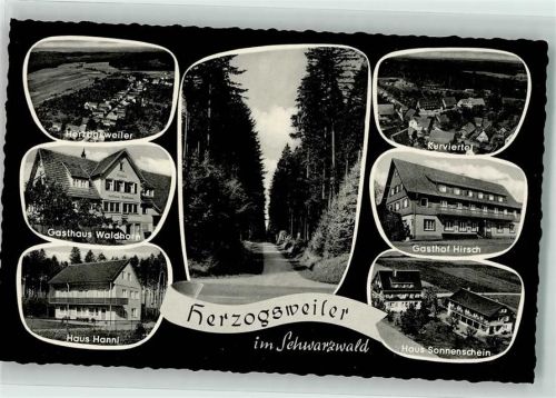 Herzogsweiler Gasthaus Hirsch Waldhorn Haus Hanni Haus Sonnenschein