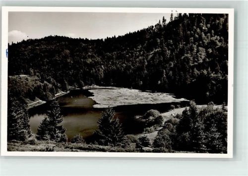 Neuenweg Nonnenmattweiher