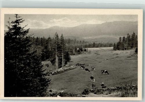 Schreiberhau Heimatschutz-Postkarte Die Dovewiese
