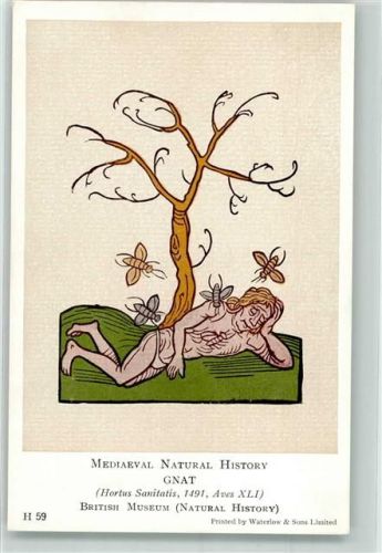 London Mediaeval Natural History Mann wird von Mücken zerstochen nach Hortus Sanitatis 1491 British Museum