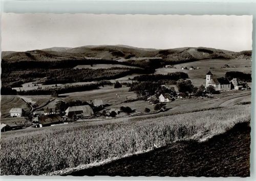 Breitnau Gasthaus zum Kreuz Vogelschau